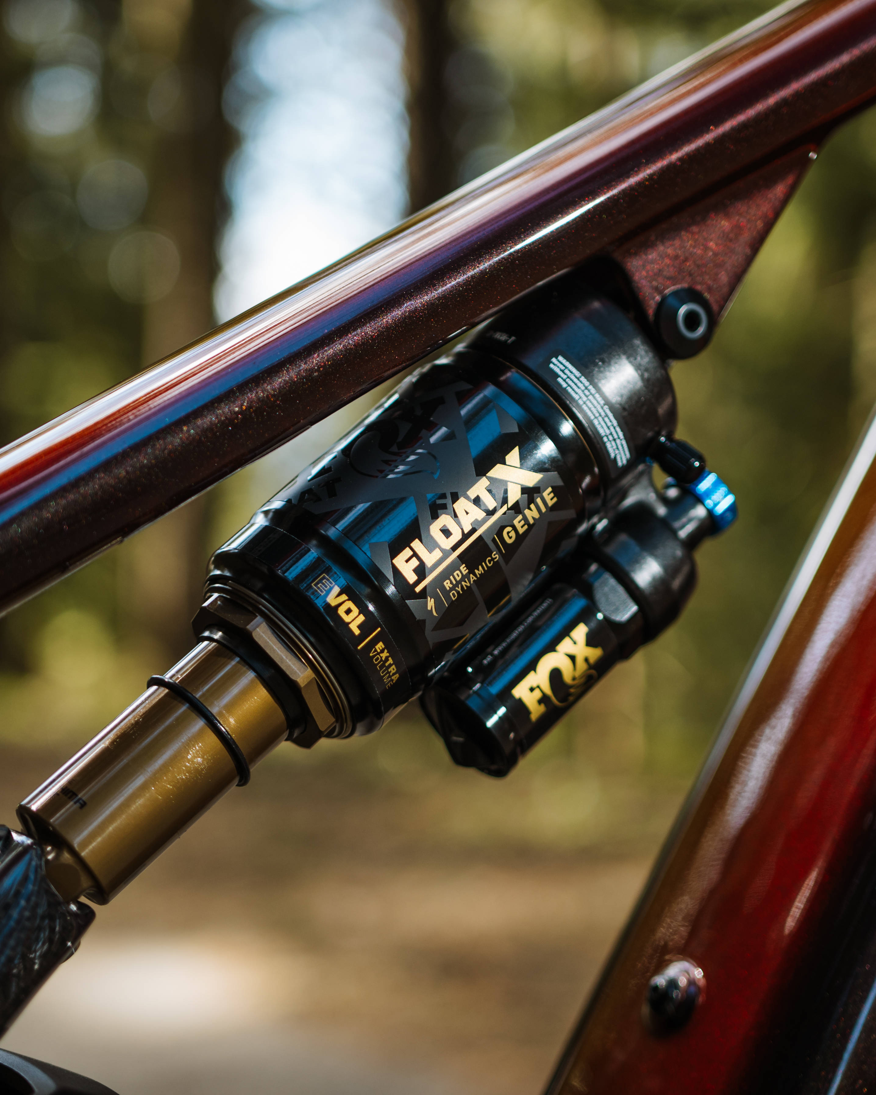 2025 s works levo 13